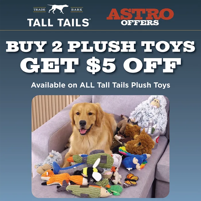 Promotion Image