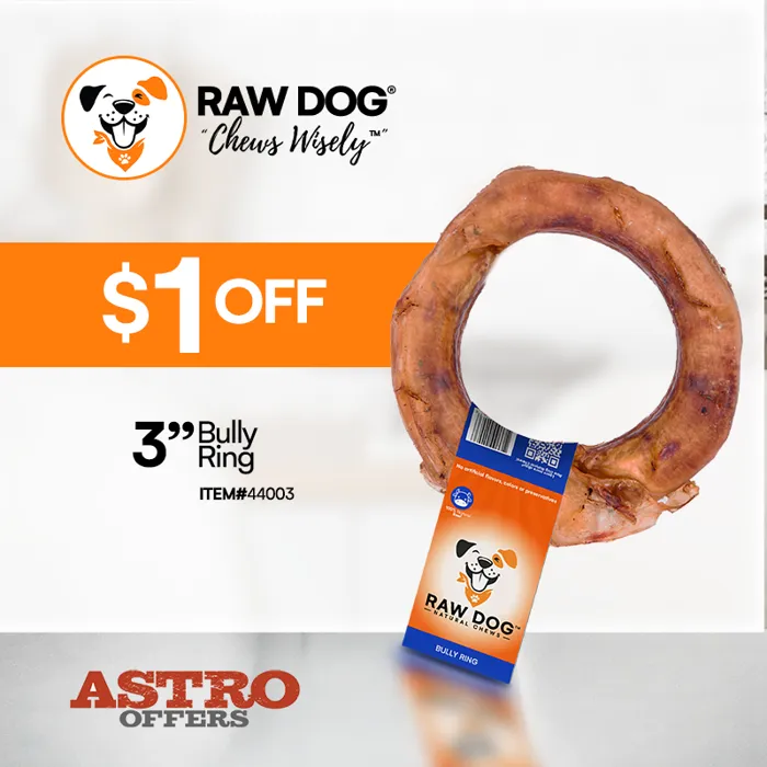Promotion Image