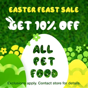 Promotion Image