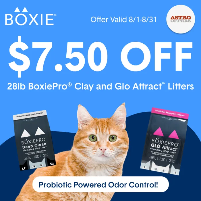 Promotion Image