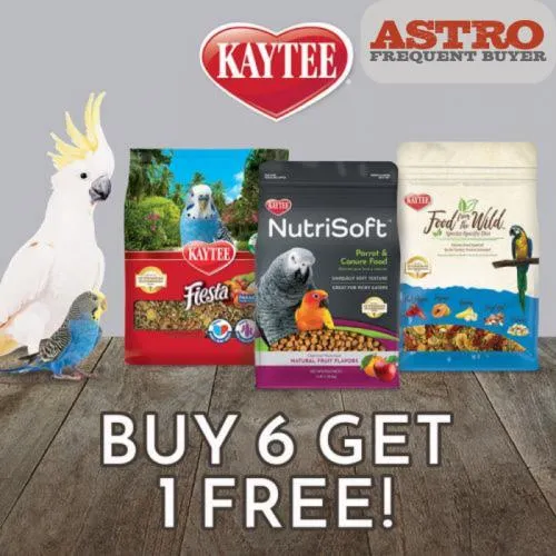 Promotion Image