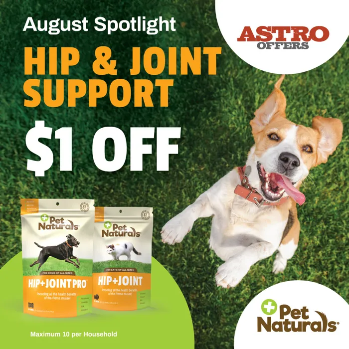 Promotion Image