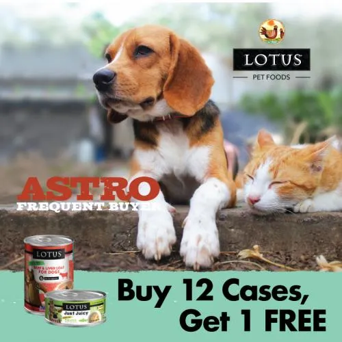 Promotion Image