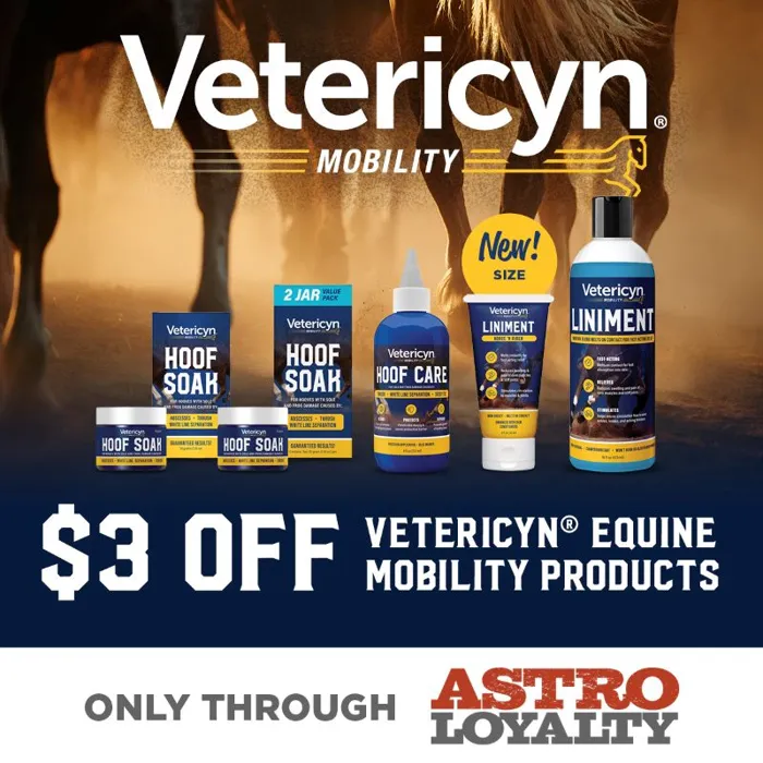 Promotion Image
