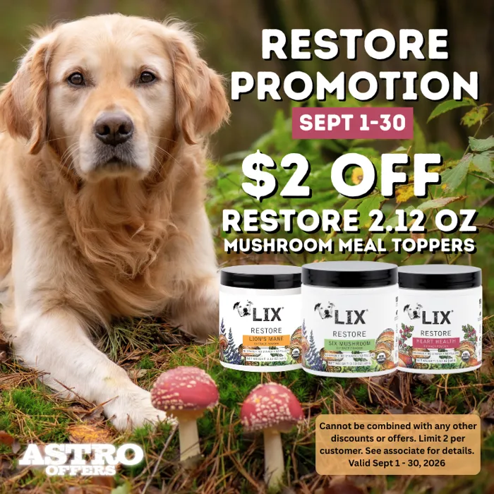 Promotion Image